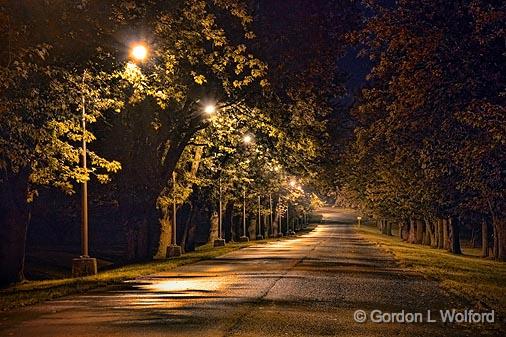 Lighted Laneway_20738.jpg - Photographed near Smiths Falls, Ontario, Canada.